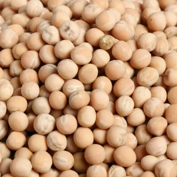 potatoes (copy)