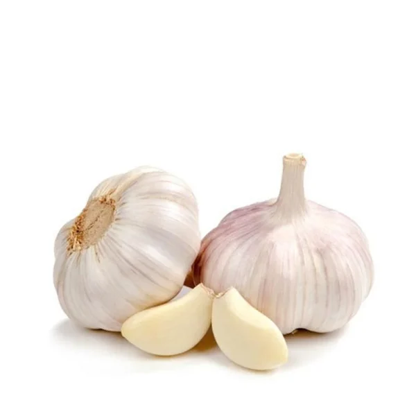 onion (copy)