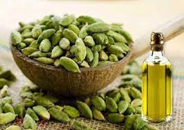 ajwain seed oil (copy)